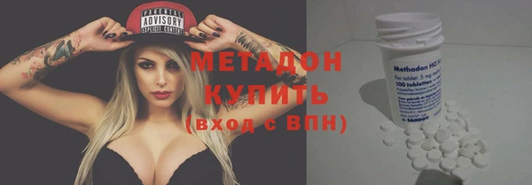 гашик Алексин
